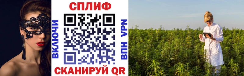 Шишки марихуана Bruce Banner  Москва 